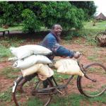 Mozambique farmer