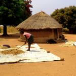 farmers in Ghana