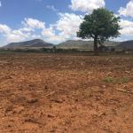 field in Tanzania