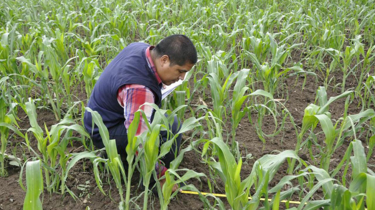 taking soil samples