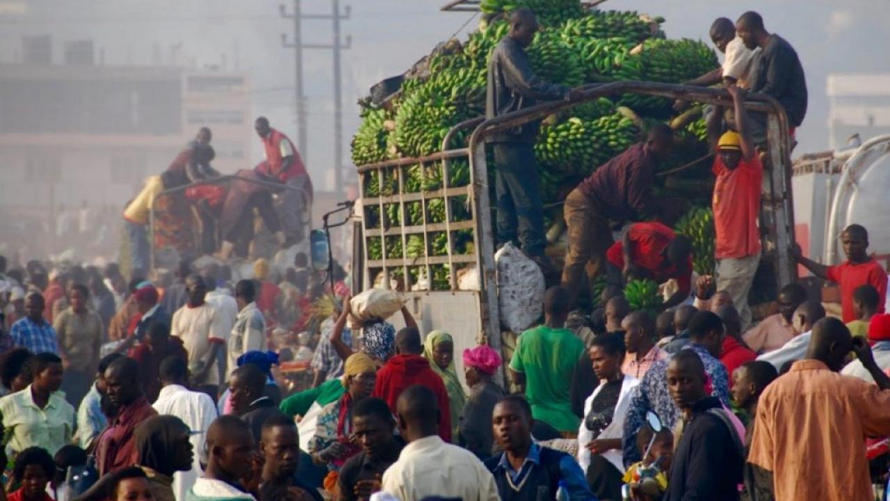 fruit market in Uganda