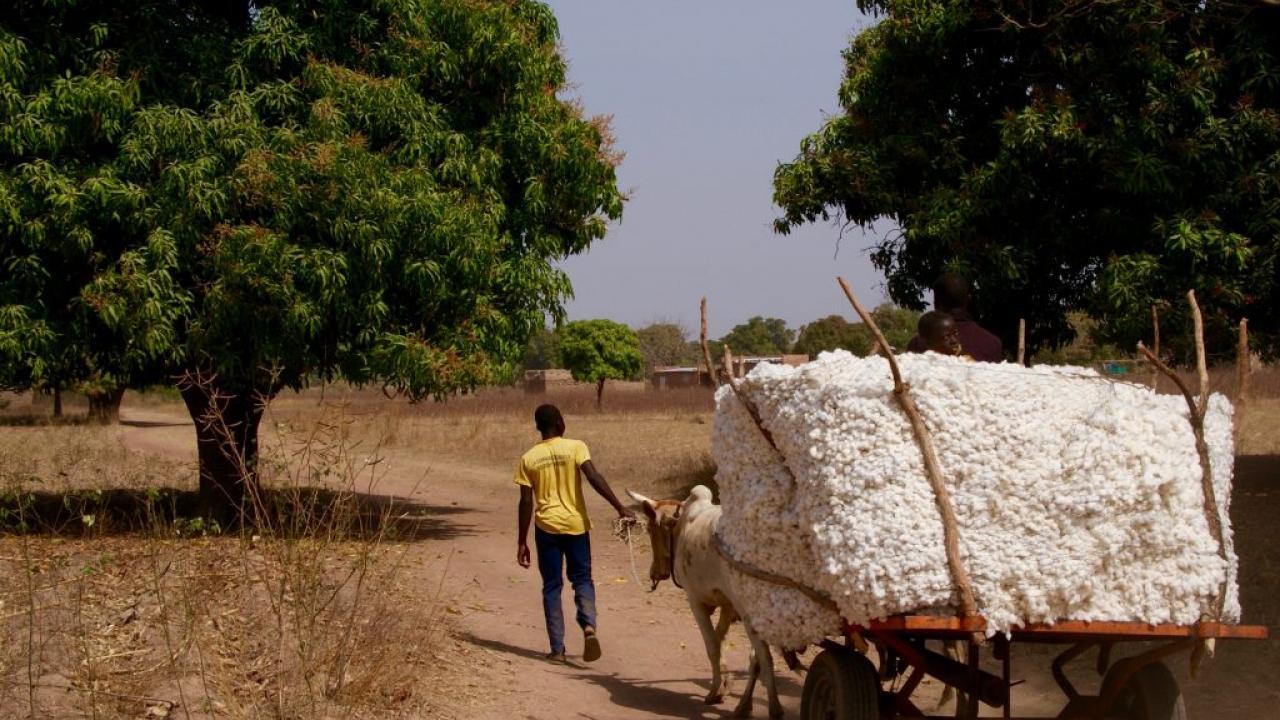 Cotton cart