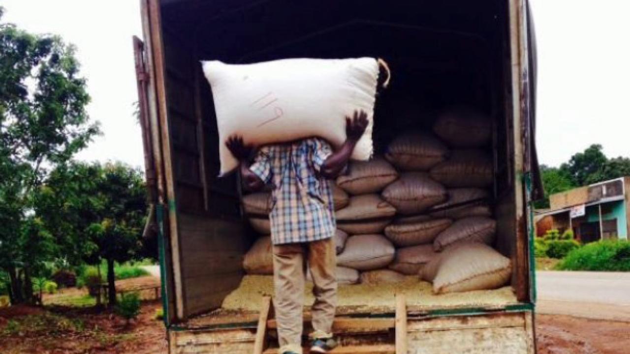 farmer in Uganda