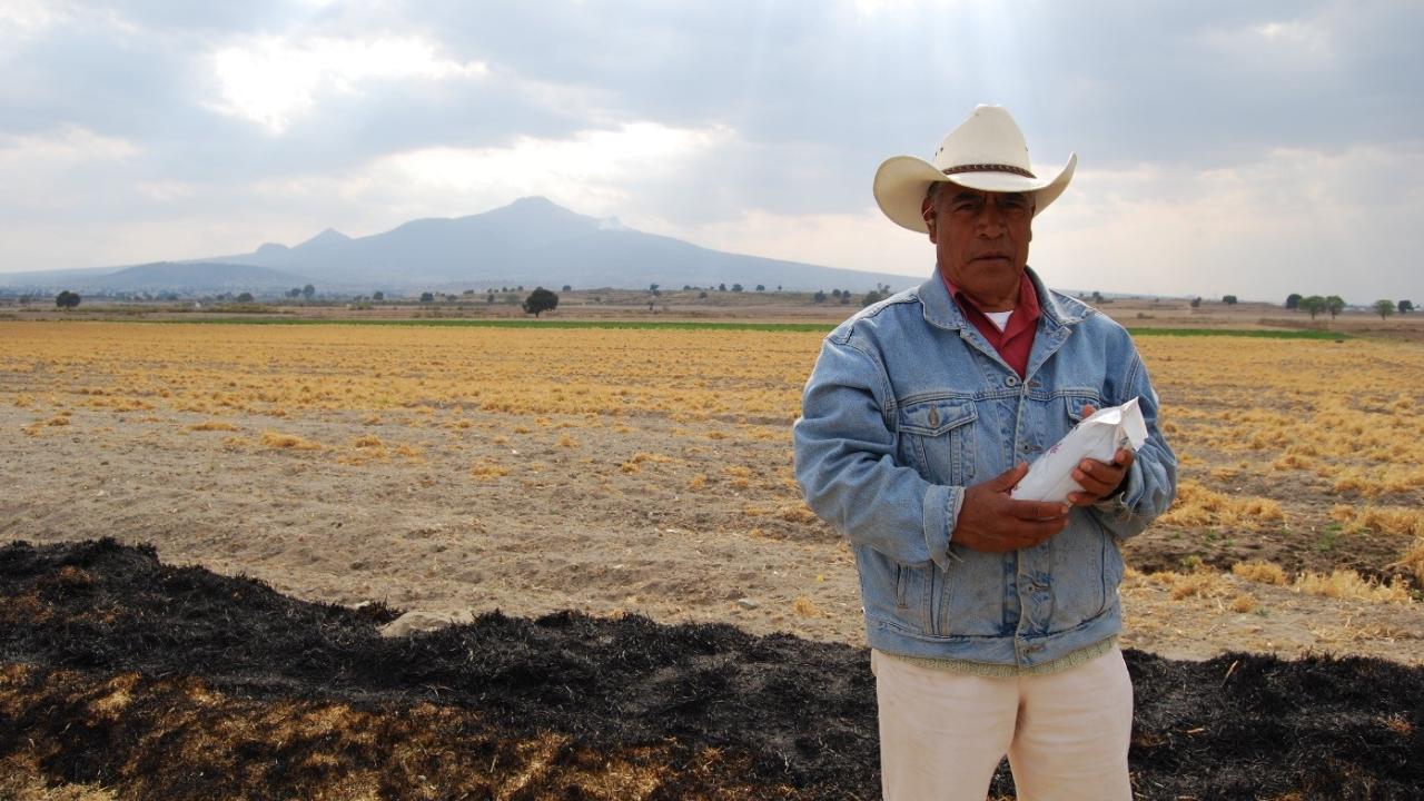 Maize farmer in Mexico