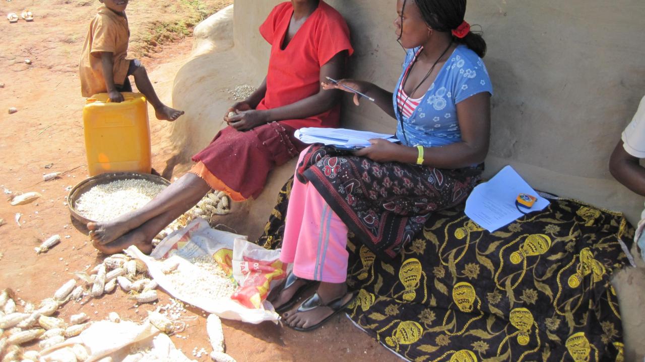 survey in Mozambique
