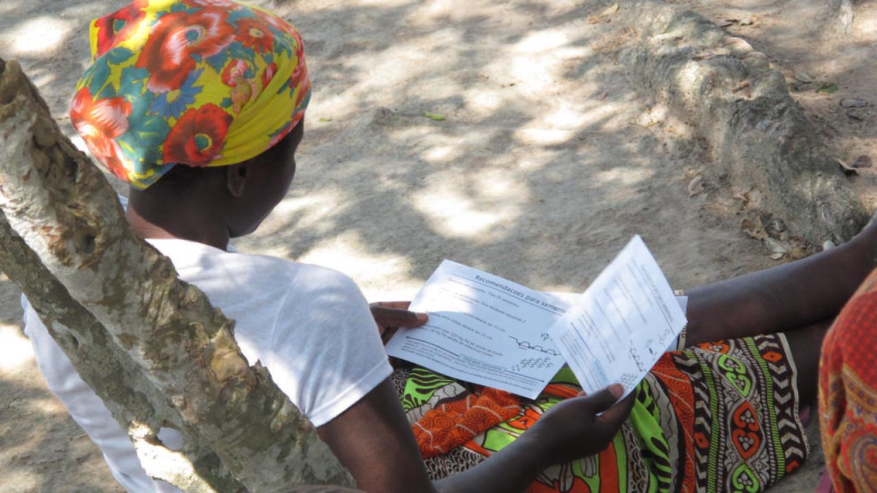 Mozambique farmer
