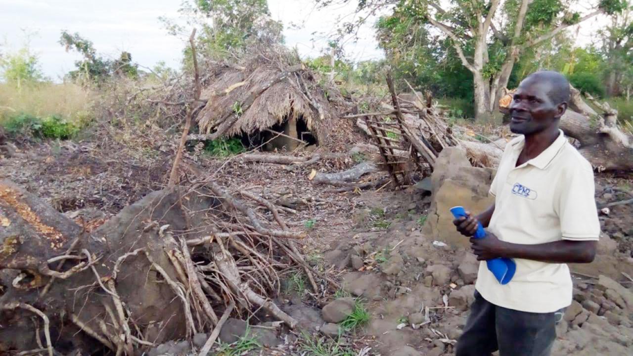 Chingore’s house in Nhamatanda district remains destroyed three months after a mango tree fell on it the night of cyclone Idai. Photo credit: Aniceto Matias/AMA Innovation Lab. Cyclone Idai damage in Mozambique's Nhamatanda district