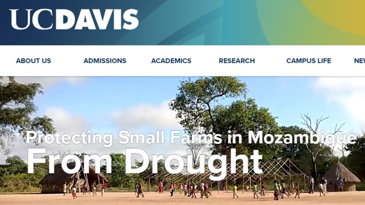 web page image