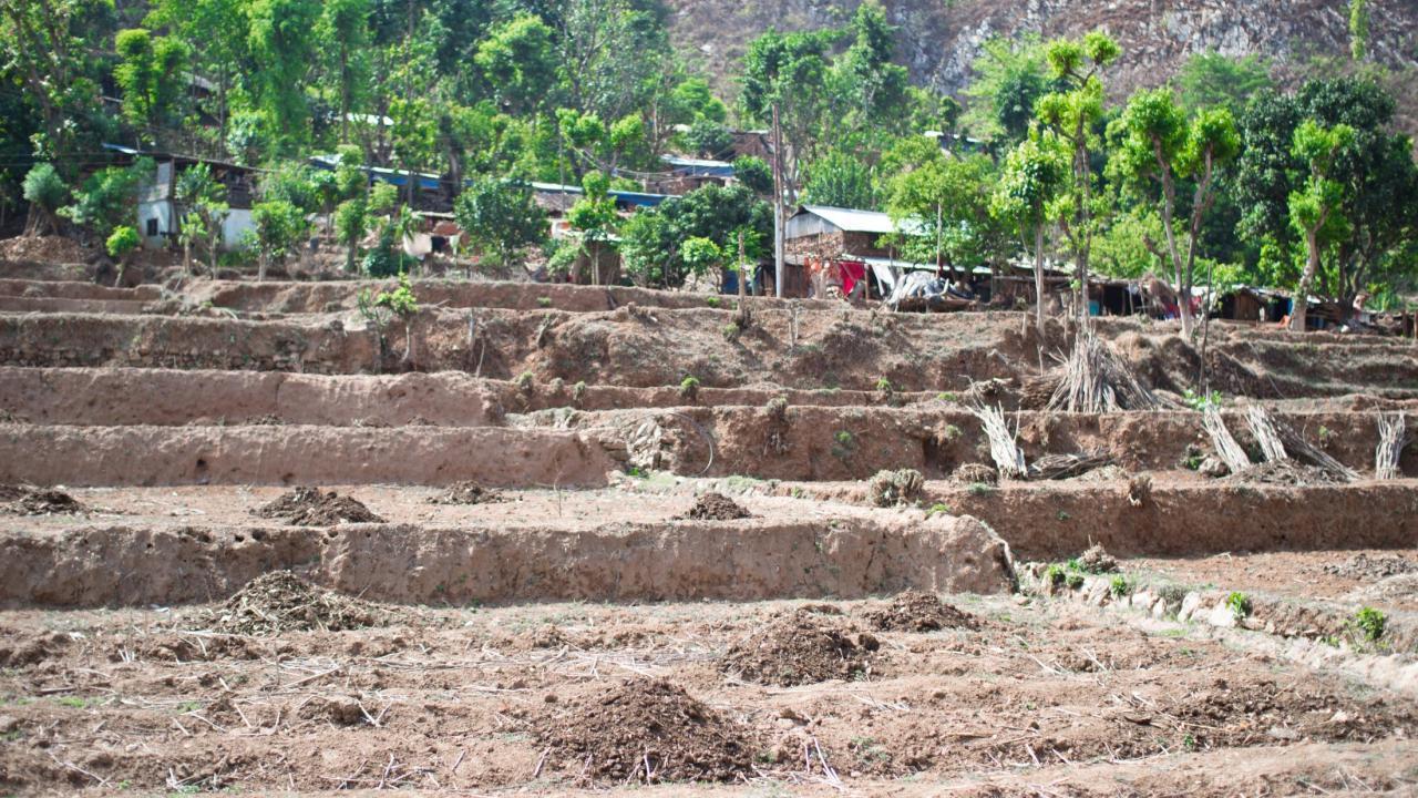 Farm in Nepal