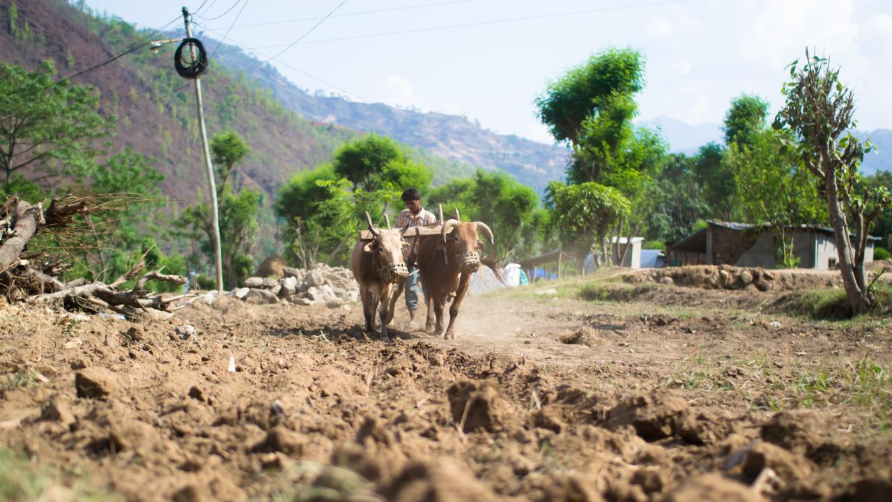 Nepal