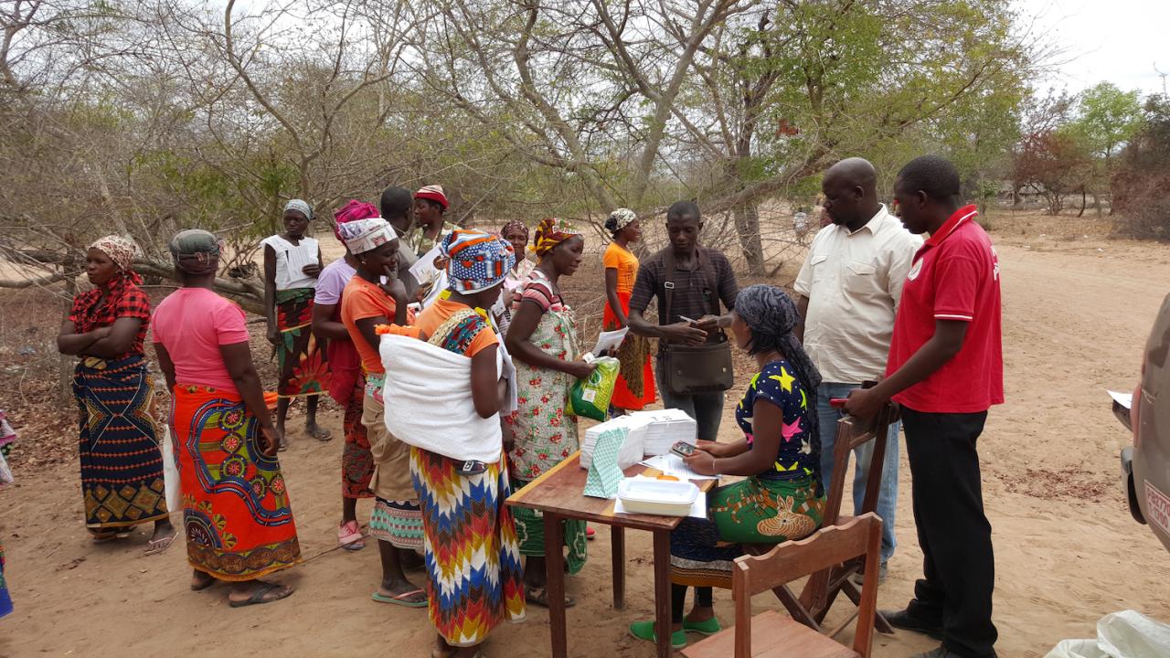 Enumerators discussing seed bundle
