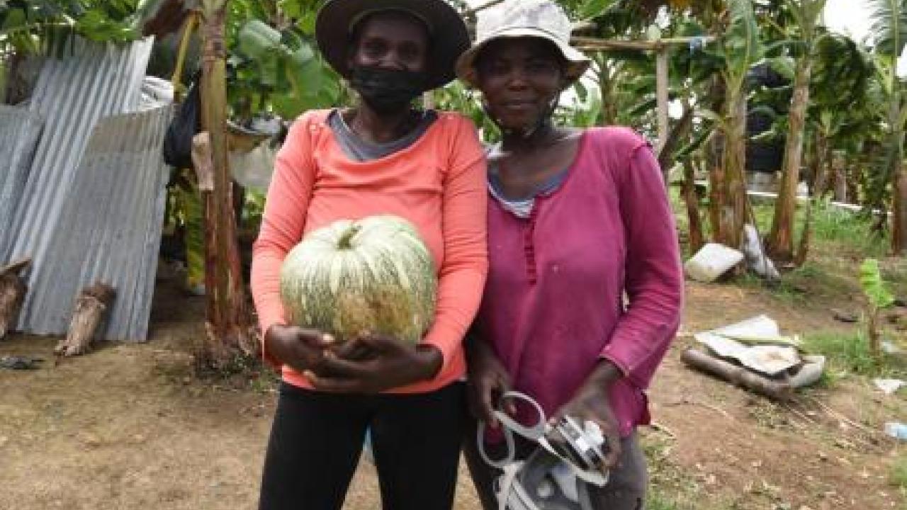 farmers