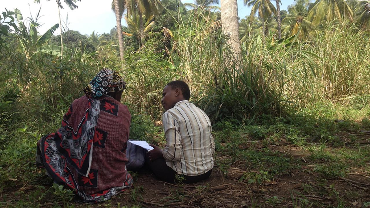 survey Tanzania