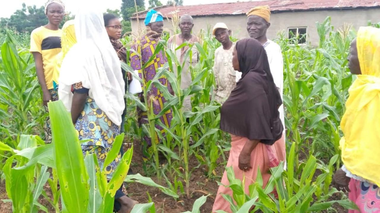 Nigeria farmers