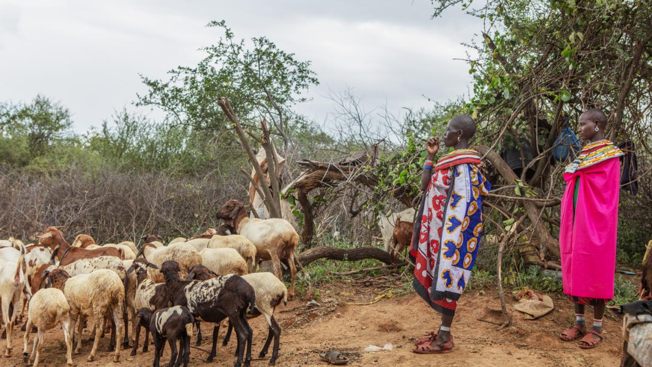 pastoralist community