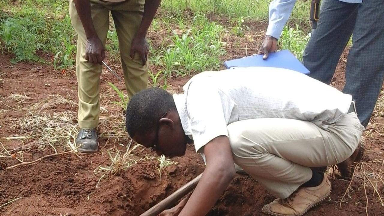 Getting a soil sample