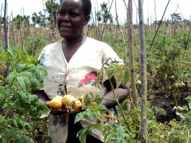 farmer in Bungokho