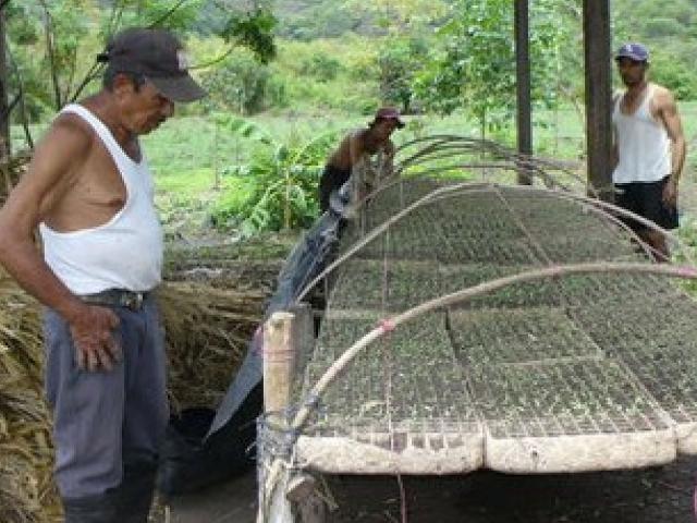 farmer in Nicaragua