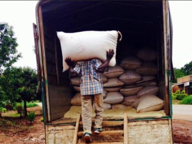 farmer in Uganda