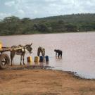 collecting water