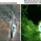 Satellite Image