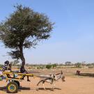 Irrigation project in Senegal