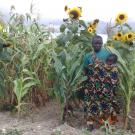 Tanzania farmer