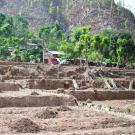 Farm in Nepal