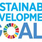 SDG logo