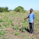 Mozambican farmer in field